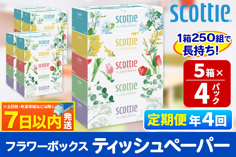 《3ヶ月ごとに4回お届け》定期便 ティッシュペーパー スコッティ フラワーボックス250組 20箱(5箱×4パック) ティッシュ レビューキャンペーン中 秋田市オリジナル