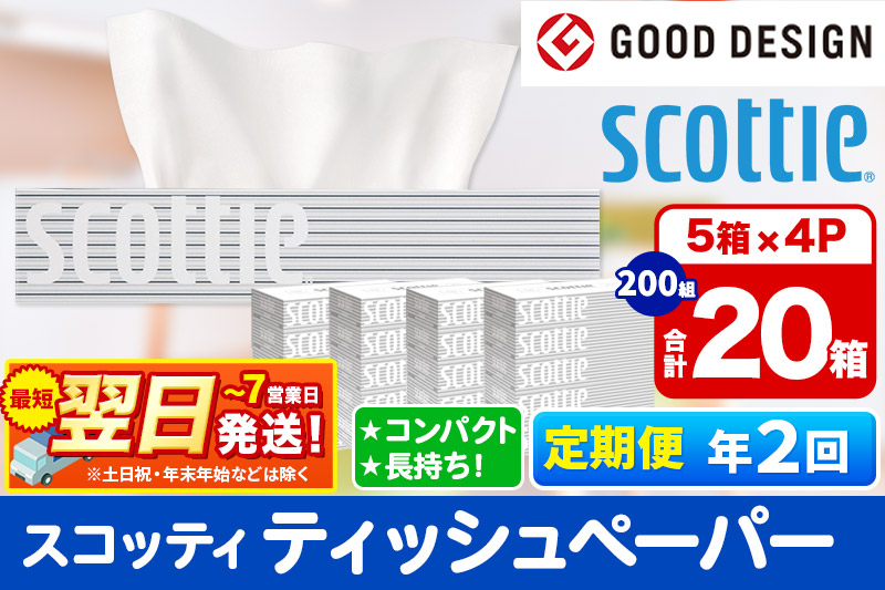 《6ヶ月ごとに2回お届け》定期便 ティッシュペーパー スコッティ 200組 20箱(5箱×4パック) ティッシュ 秋田市オリジナル【レビューキャンペーン中】