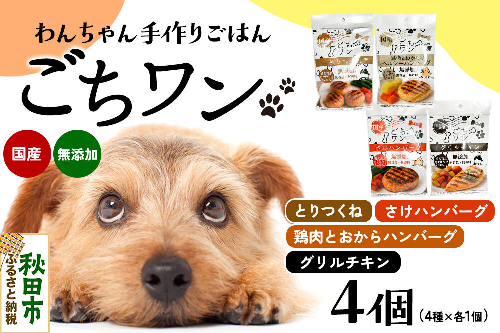 わんちゃん手づくりごはん「ごちワン」レトルト4種セット（とりつくね／鶏肉とおからのヘルシーハンバーグ／さけハンバーグ／グリルチキン）ヘルシー 国産 ドッグフード 無着色・無香料 [犬のごはん 犬のご飯 国産 ペット用 ペットフード]