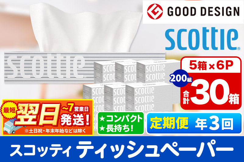 《4ヶ月ごとに3回お届け》定期便 ティッシュペーパー スコッティ 200組 30箱(5箱×6パック) ティッシュ 秋田市オリジナル【レビューキャンペーン中】