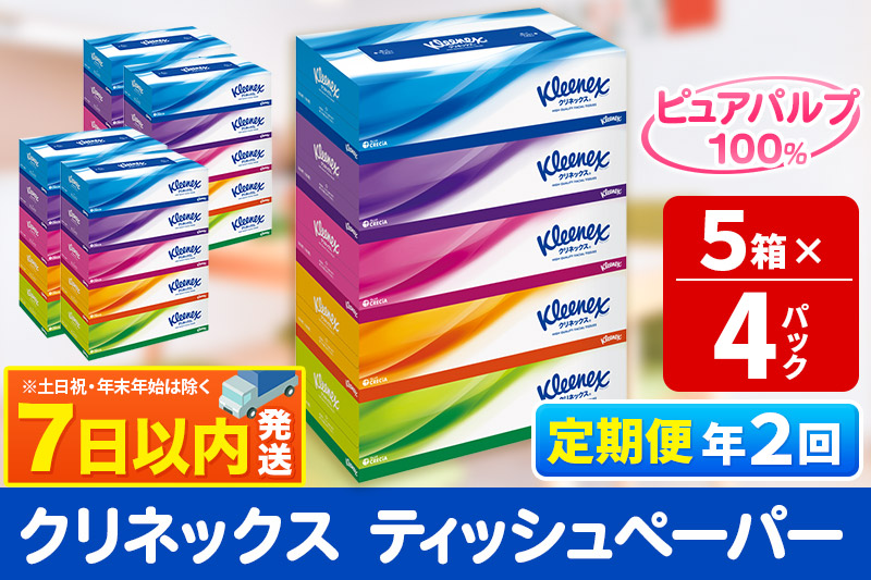 《6ヶ月ごとに2回お届け》定期便 ティッシュ クリネックス 20箱 5箱×4パック レビューキャンペーン中 秋田市オリジナル