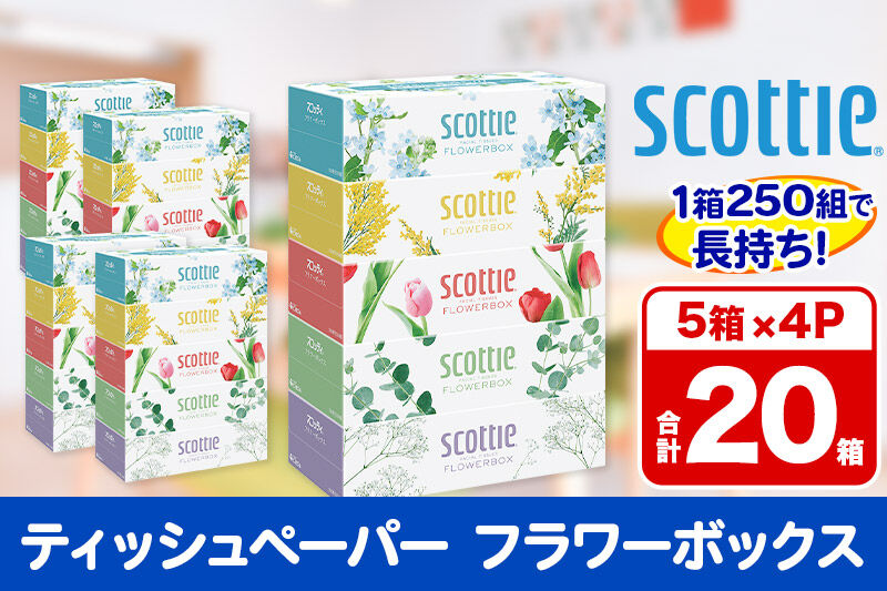 ティッシュペーパー スコッティ フラワーボックス250組 20箱(5箱×4パック) ティッシュ 秋田市オリジナル 新生活 [ティッシュ ボックスティッシュ 新生活]