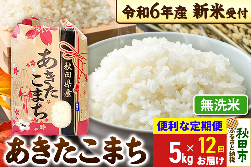 《新米先行受付》《定期便12ヶ月》 あきたこまち 5kg【無洗米】秋田県産 令和6年産 こまちライン