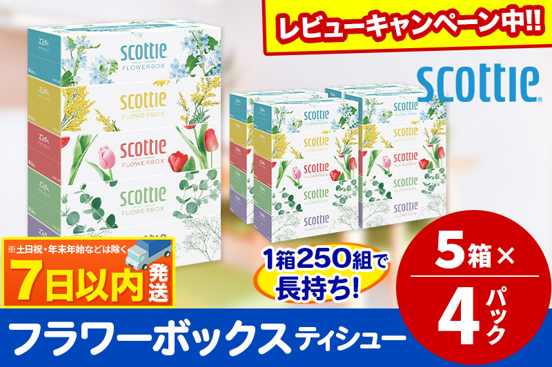 ティッシュペーパー スコッティ フラワーボックス250組 20箱(5箱×4パック) ティッシュ レビューキャンペーン中 秋田市オリジナル