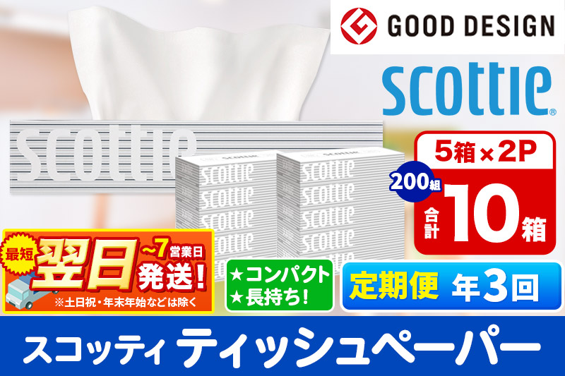 《4ヶ月ごとに3回お届け》定期便 ティッシュペーパー スコッティ 200組 10箱(5箱×2パック) ティッシュ 秋田市オリジナル【レビューキャンペーン中】