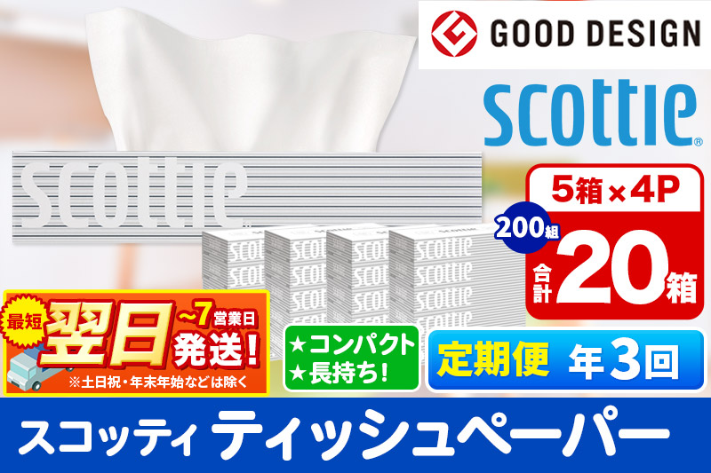 《4ヶ月ごとに3回お届け》定期便 ティッシュペーパー スコッティ 200組 20箱(5箱×4パック) ティッシュ 秋田市オリジナル【レビューキャンペーン中】