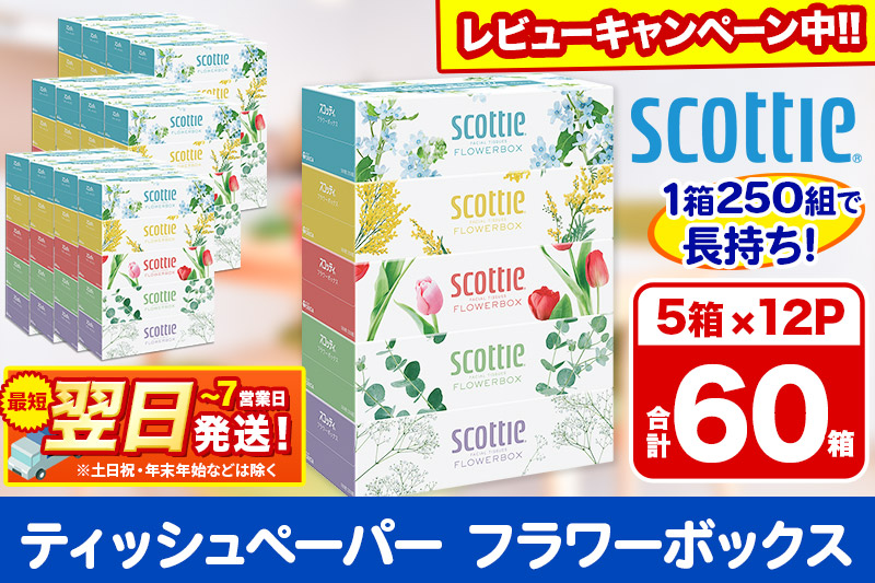 ティッシュペーパー スコッティ フラワーボックス250組 60箱(5箱×12パック) ティッシュ 日用品 最短翌日発送【レビューキャンペーン中】