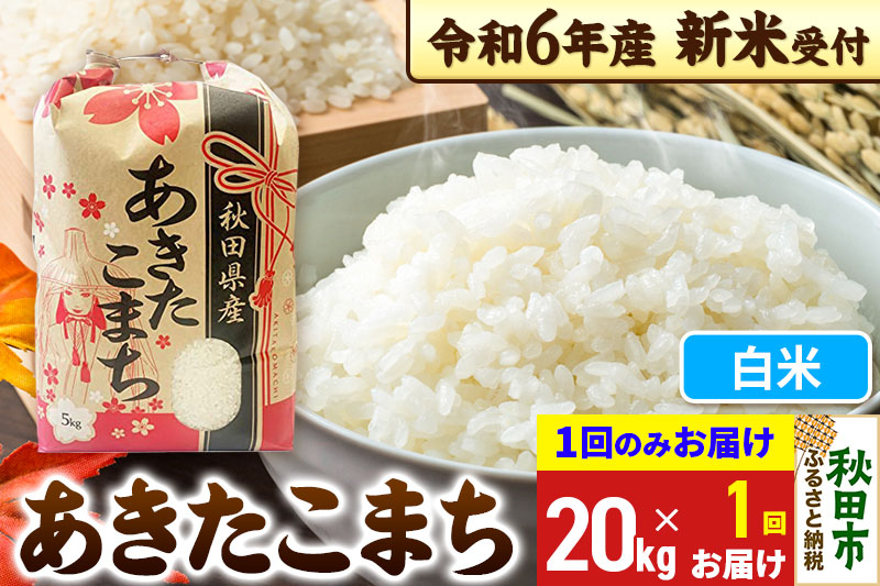 《新米先行受付》あきたこまち 20kg(5kg×4袋) 【1回のみお届け】【白米】秋田県産 令和6年産 こまちライン