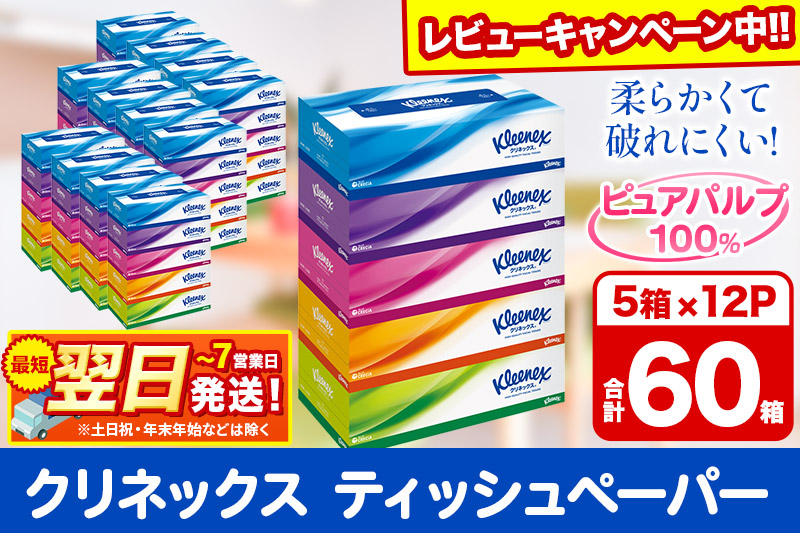 ティッシュ クリネックス ティシュー 5箱×12パック 日用品 最短翌日発送【レビューキャンペーン中】