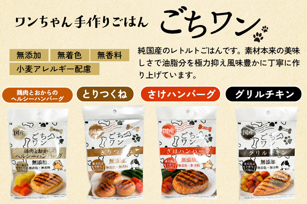 わんちゃん手づくりごはん「ごちワン」さけハンバーグ（レトルト）国産 ドッグフード 無着色・無香料 [犬のごはん 犬のご飯 国産 ペット用 ペットフード]