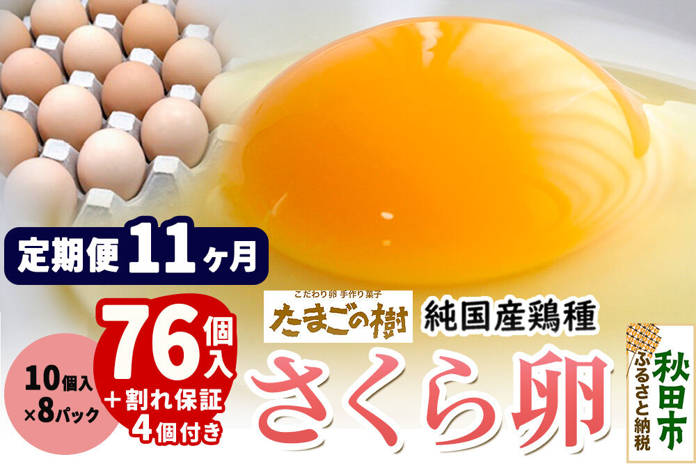 《定期便11ヶ月》 たまごの樹 純国産鶏種 卵『さくら』76個+割れ保証4個付き（10個入×8パック） [たまご タマゴ 玉子 鶏卵 まとめ買い オムレツ 卵かけご飯 朝食 料理 美味しい 瀧田養鶏場]