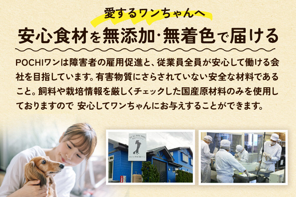 わんちゃん手づくりおやつ「ごちワン」チーズトリーツ 国産ヘルシートリーツ ドッグフード 無着色・無香料 [トリーツ 犬 犬のおやつ 国産 ペット用 ペットフード]