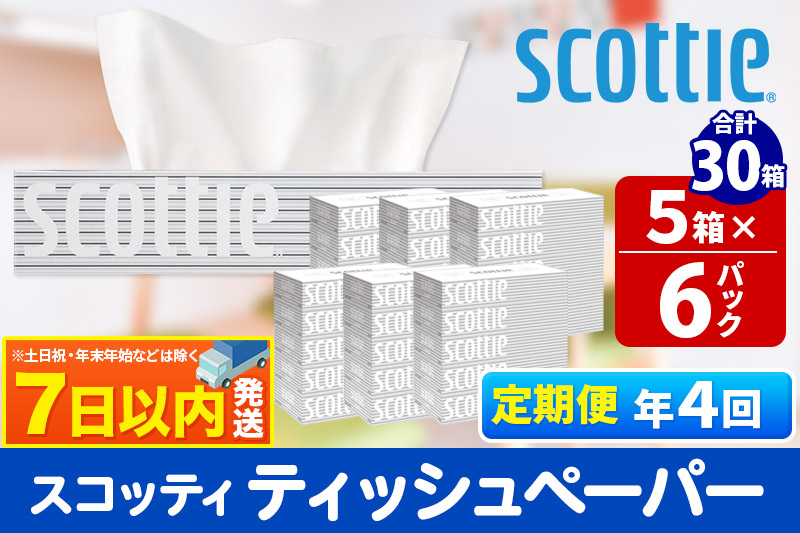 《3ヶ月ごとに4回お届け》定期便 ティッシュペーパー スコッティ 200組 30箱(5箱×6パック) ティッシュ レビューキャンペーン中 秋田市オリジナル