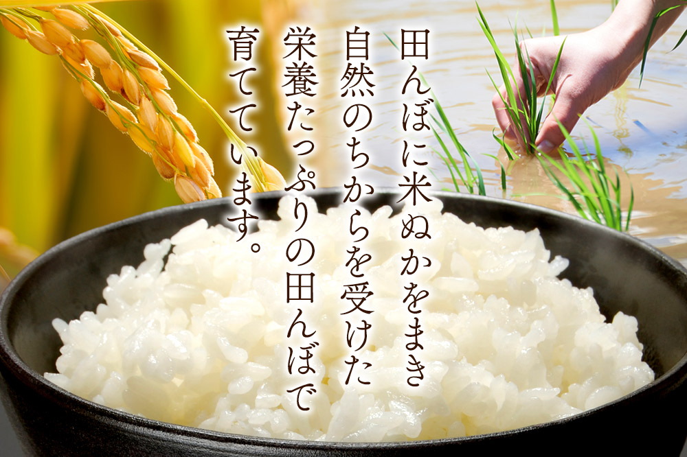 莉、蜥7蟷エ逕」 遘狗伐逵 遘狗伐蟶ら肇 繧オ繧オ繝九す繧ュ 邊セ邀ウ 10kg(5kgテ2陲) 逋ス邀ウ 邀ウ