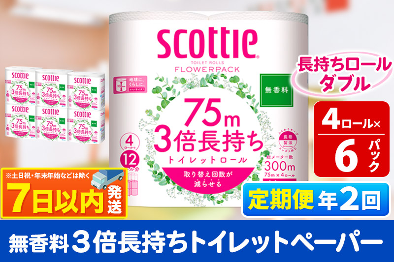 《6ヶ月ごとに2回お届け》定期便 トイレットペーパー スコッティ フラワーパック 3倍長持ち〈無香料〉4ロール(ダブル)×6パック レビューキャンペーン中 秋田市オリジナル