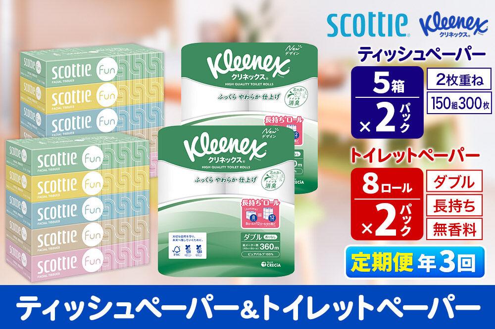 《4ヶ月ごとに3回お届け》定期便 クリネックス トイレットペーパー 長持ちロール ダブル 8ロール×2パック ＆ ティッシュペーパー スコッティ ファン 150組 5箱×2パック 秋田市オリジナル 新生活 [トイレットペーパー ティッシュ ボックスティッシュ]