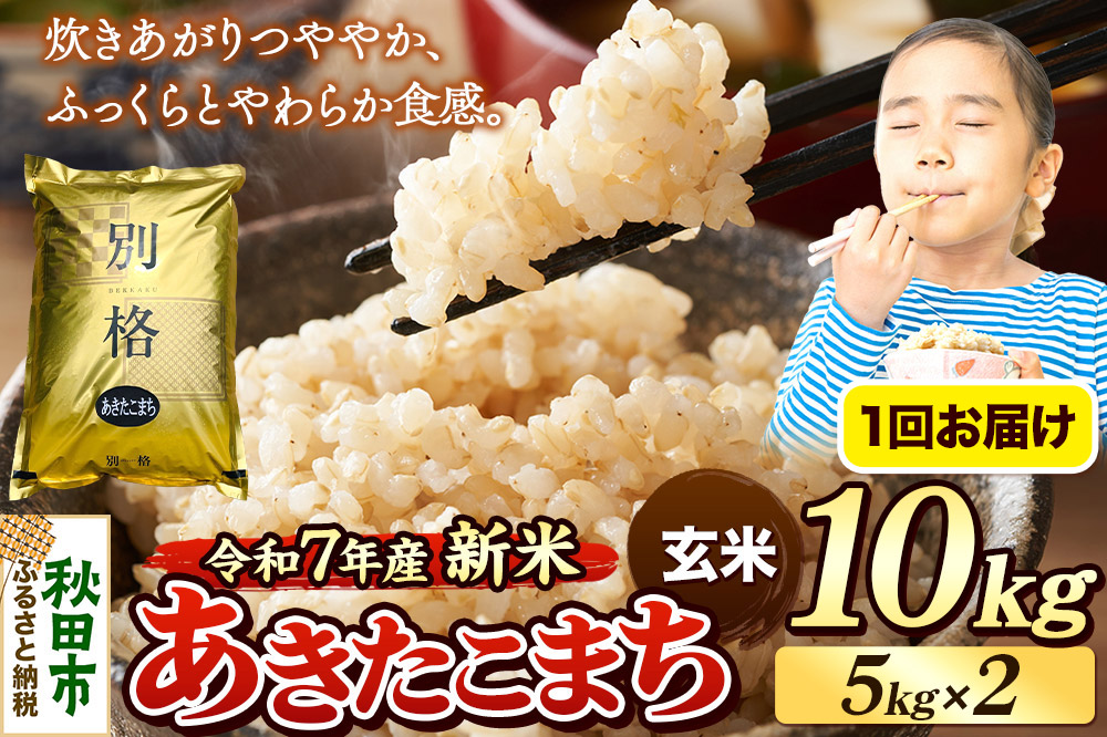 《令和7年産 新米》 米 あきたこまち 10kg（5kg×2袋） 【玄米】 秋田県産