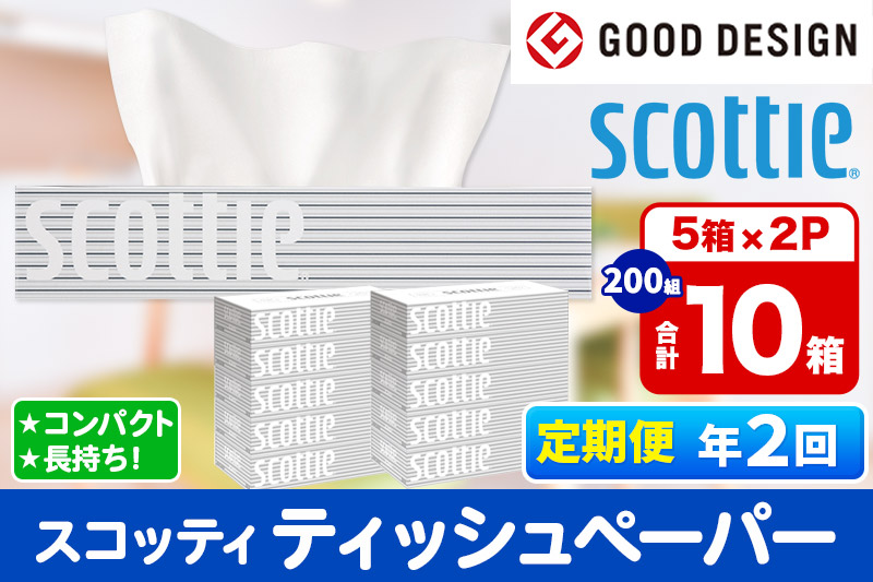 《6ヶ月ごとに2回お届け》定期便 ティッシュペーパー スコッティ 200組 10箱(5箱×2パック) ティッシュ 秋田市オリジナル【レビューキャンペーン中】