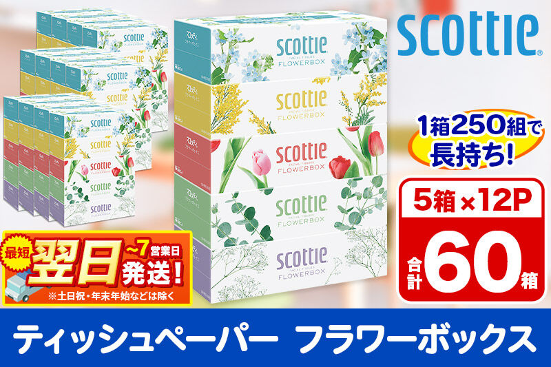 ティッシュペーパー スコッティ フラワーボックス250組 60箱(5箱×12パック) ティッシュ 日用品  最短翌日発送 [ティッシュ ボックスティッシュ]