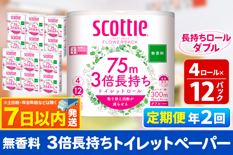 《6ヶ月ごとに2回お届け》定期便 トイレットペーパー スコッティ フラワーパック 3倍長持ち〈無香料〉4ロール(ダブル)×12パック レビューキャンペーン中 7日以内発送