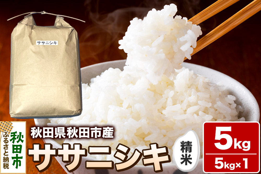 令和7年産 秋田県 秋田市産 ササニシキ 精米 5kg 白米 米