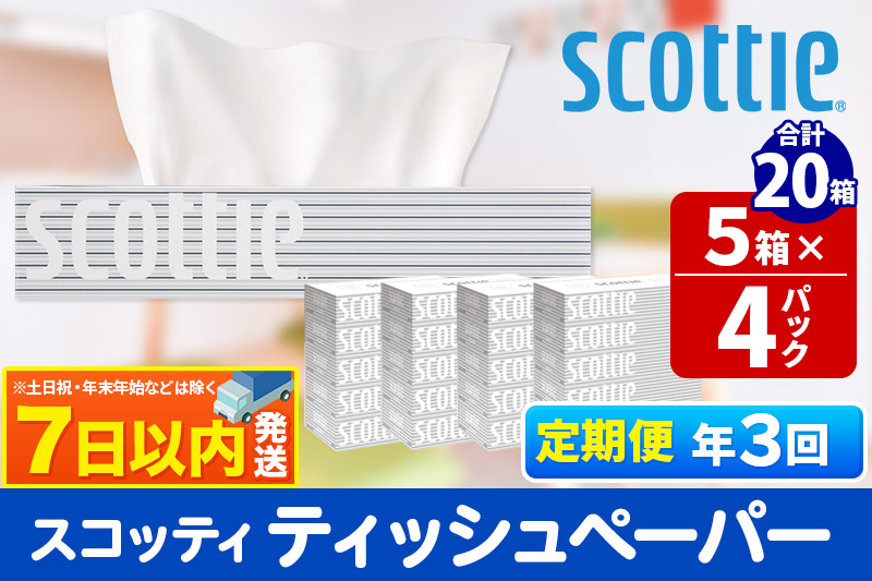 《4ヶ月ごとに3回お届け》定期便 ティッシュペーパー スコッティ 200組 20箱(5箱×4パック) ティッシュ レビューキャンペーン中 秋田市オリジナル