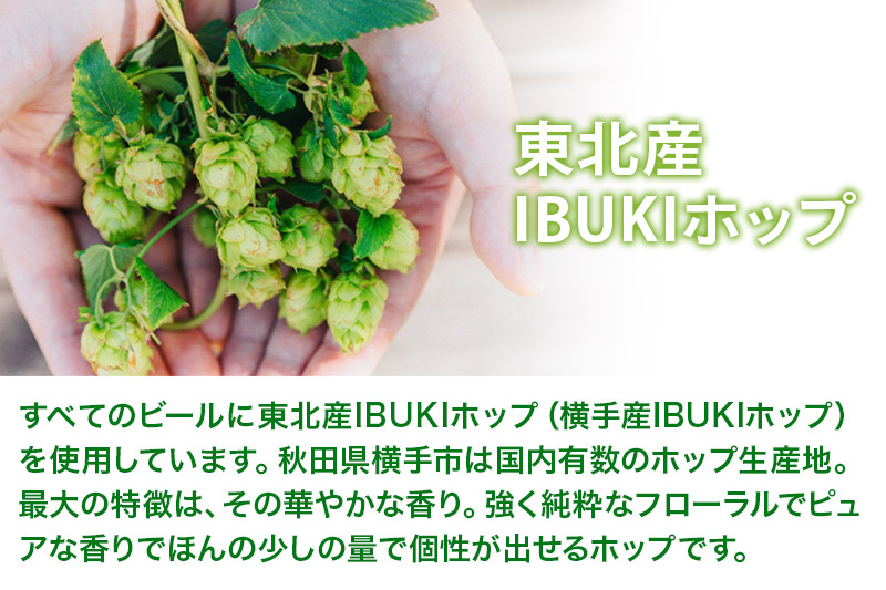 《定期便7ヶ月》【秋田の地ビール】秋田あくらビール なまはげIPA 12本セット(330ml×計12本)