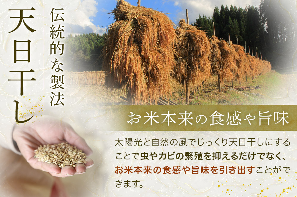 〈先行予約 令和7年産 新米〉自然栽培米「亀ノ尾」玄米 30kg 天日干し 農薬・肥料不使用 