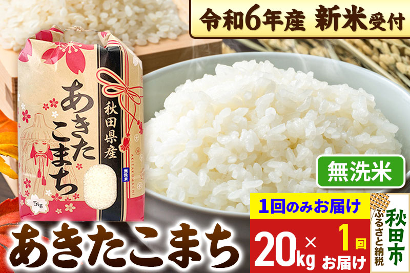 《新米先行受付》あきたこまち 20kg(5kg×4袋) 【1回のみお届け】【無洗米】秋田県産 令和6年産 こまちライン