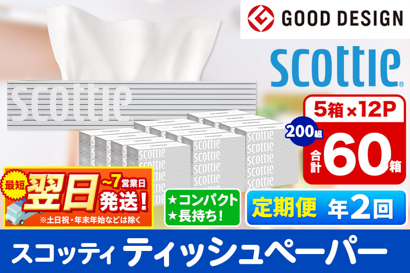 《6ヶ月ごとに2回お届け》定期便 ティッシュペーパー スコッティ 200組 60箱(5箱×12パック) ティッシュ 最短翌日発送【レビューキャンペーン中】