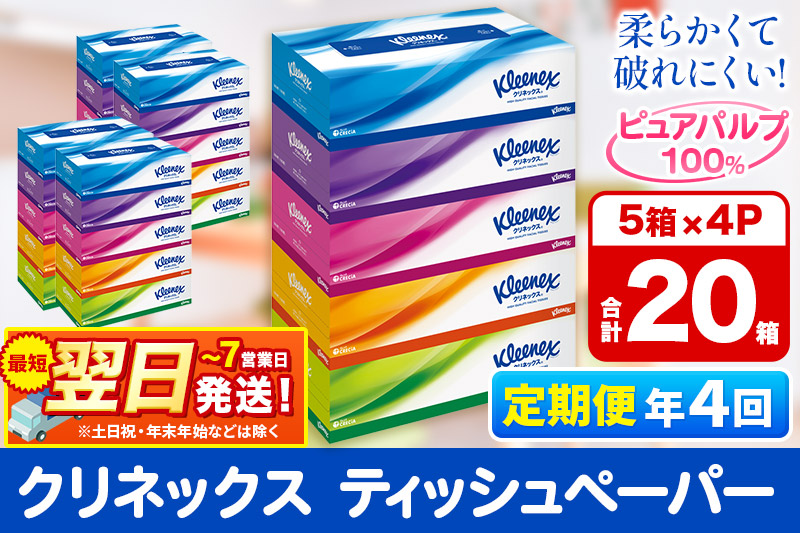 《3ヶ月ごとに4回お届け》定期便 ティッシュ クリネックス 20箱 5箱×4パック 秋田市オリジナル 最短翌日発送 【レビューキャンペーン中】