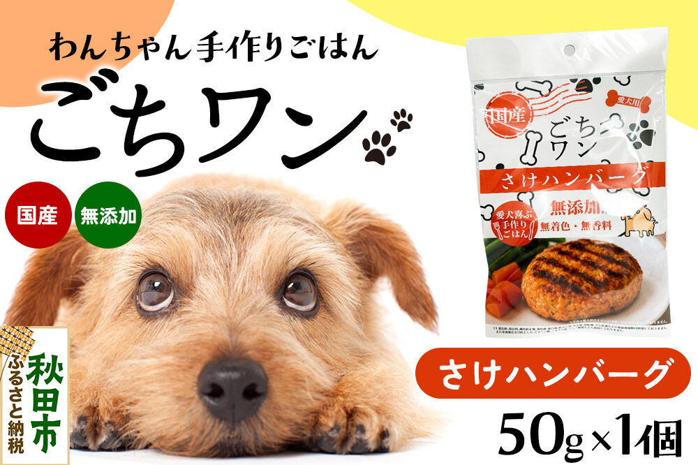 わんちゃん手づくりごはん「ごちワン」さけハンバーグ（レトルト）国産 ドッグフード 無着色・無香料 [犬のごはん 犬のご飯 国産 ペット用 ペットフード]