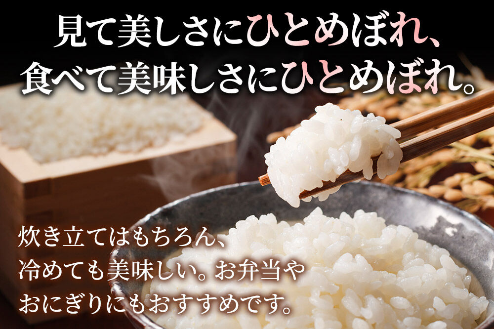 米 ひとめぼれ【白米】米どころ秋田県産 令和7年産 精米 6kg（2kg×3袋） [米 お米 こめ 白米 精米 ブランド米 小分け ご飯 ごはん 米どころ 秋田県産 2kg袋]