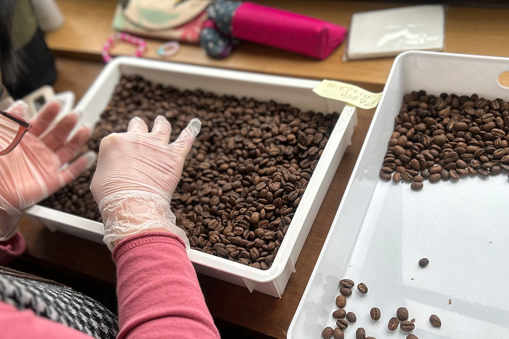 閾ェ螳カ辟咏 繧ウ繝シ繝偵シ縲舌ラ繝ェ繝繝励ヱ繝繧ッ縲5遞ョ險30蛟 迴育栖 繝峨Μ繝繝励ヰ繝繧ー