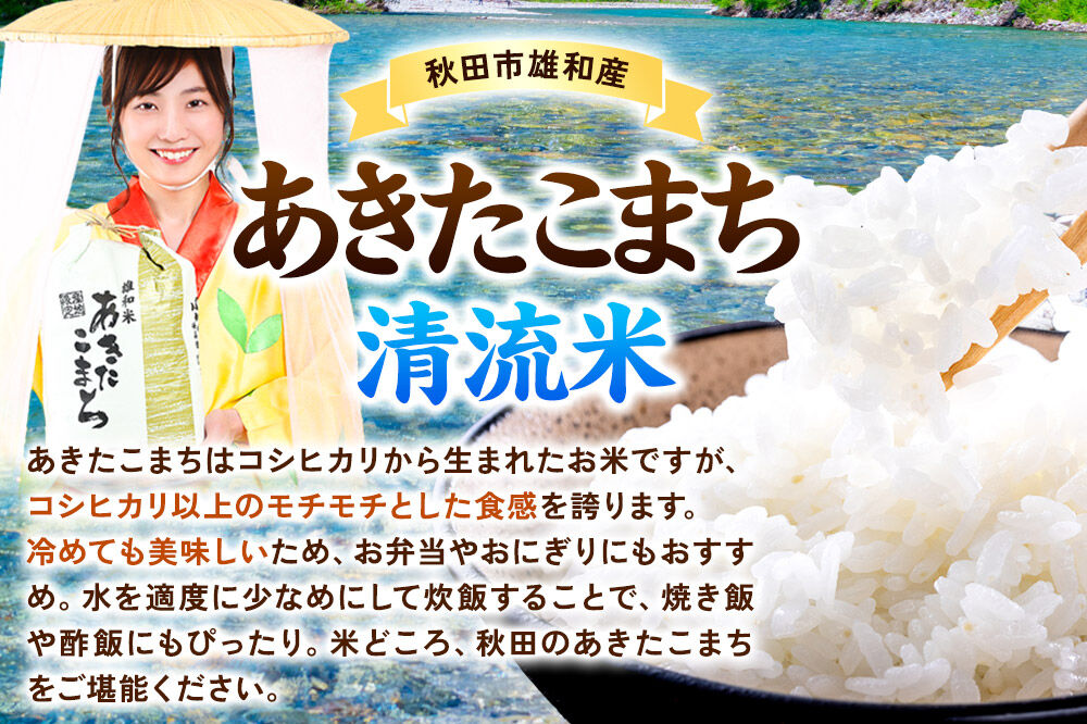 《定期便6ヶ月》あきたこまち 清流米 6kg(3kg×2袋)【無洗米】 秋田市雄和産 [秋田県産 あきたこまち お米 精米 無洗米 定期便 6kg 6キロ 3kg袋]