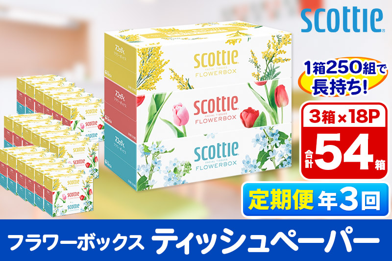 《4ヶ月ごとに3回お届け》定期便 ティッシュペーパー スコッティ フラワーボックス250組 54箱(3箱×18パック)