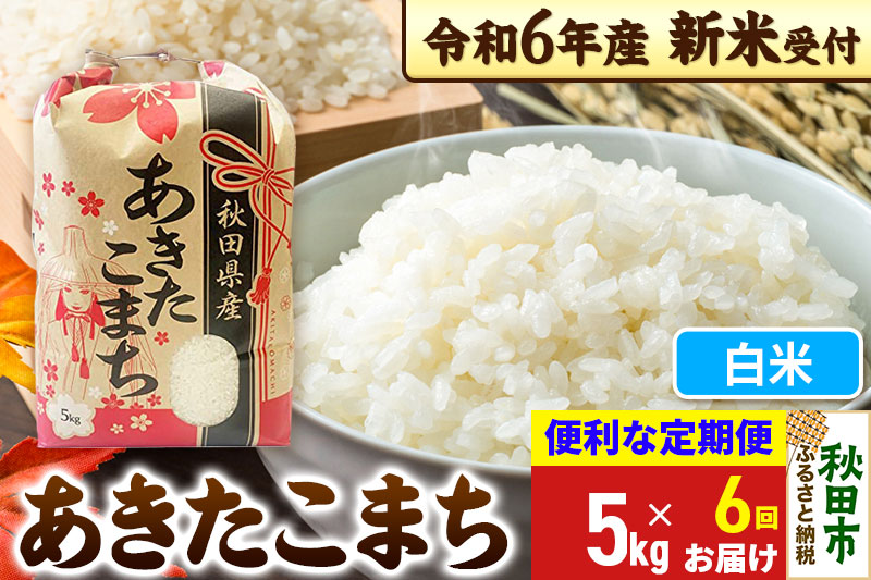 《新米先行受付》《定期便6ヶ月》 あきたこまち 5kg【白米】秋田県産 令和6年産 こまちライン