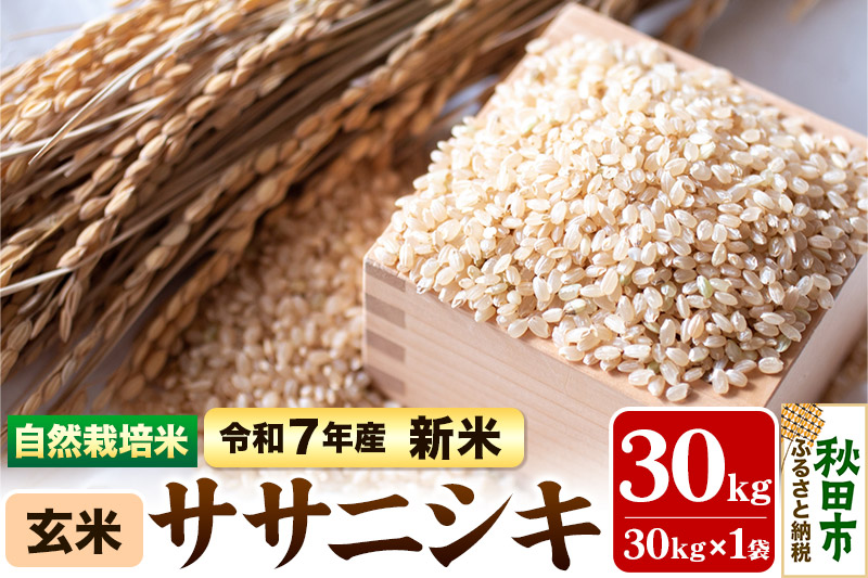 〈先行予約 令和7年産 新米〉自然栽培米「ササニシキ」玄米 30kg 天日干し 農薬・肥料不使用 