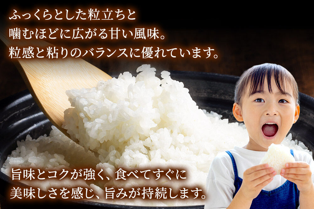 米《定期便7ヶ月》サキホコレ【白米】 米どころ秋田県産 令和7年産 精米 15kg（5kg×3袋） [米 お米 こめ 白米 精米 サキホコレ ブランド米 小分け ご飯 ごはん 米どころ 秋田県産 5kg袋]