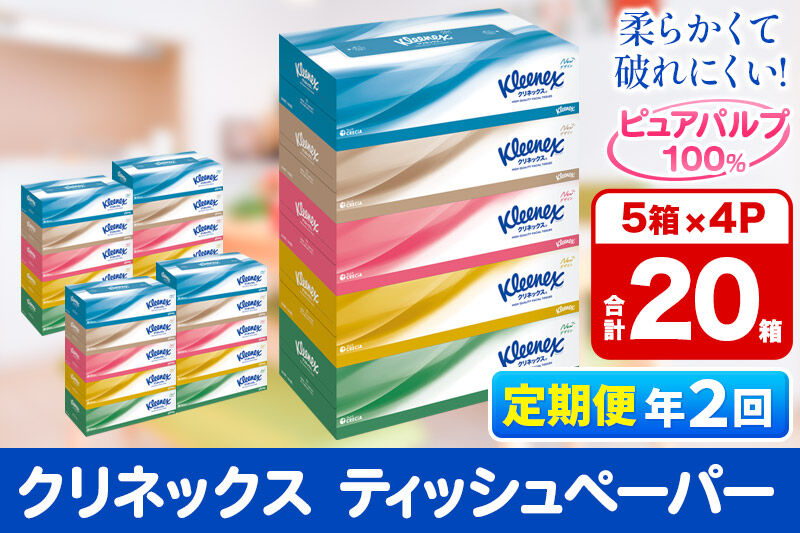 《6ヶ月ごとに2回お届け》定期便 ティッシュ クリネックス 20箱 5箱×4パック 秋田市オリジナル [ティッシュ ボックスティッシュ 定期便]