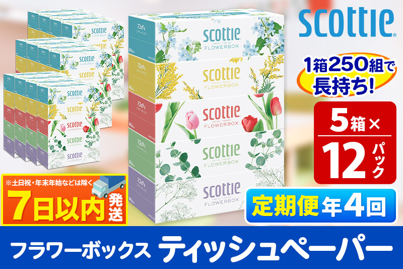 《3ヶ月ごとに4回お届け》定期便 ティッシュペーパー スコッティ フラワーボックス250組 60箱(5箱×12パック) ティッシュ レビューキャンペーン中 7日以内発送