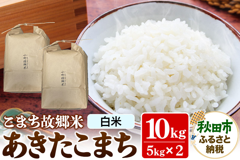 米 こまち故郷米 ＜ あきたこまち ＞ 白米 10kg (5kg×2袋) 令和6年産