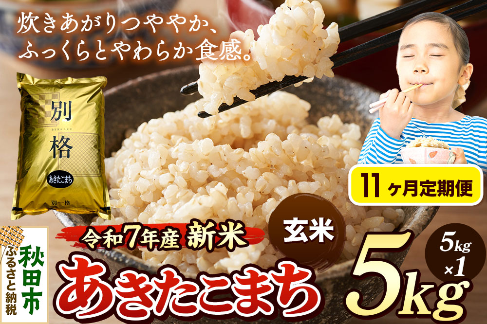 《令和7年産 新米》《定期便11ヶ月》 米 あきたこまち 5kg 【玄米】 秋田県産