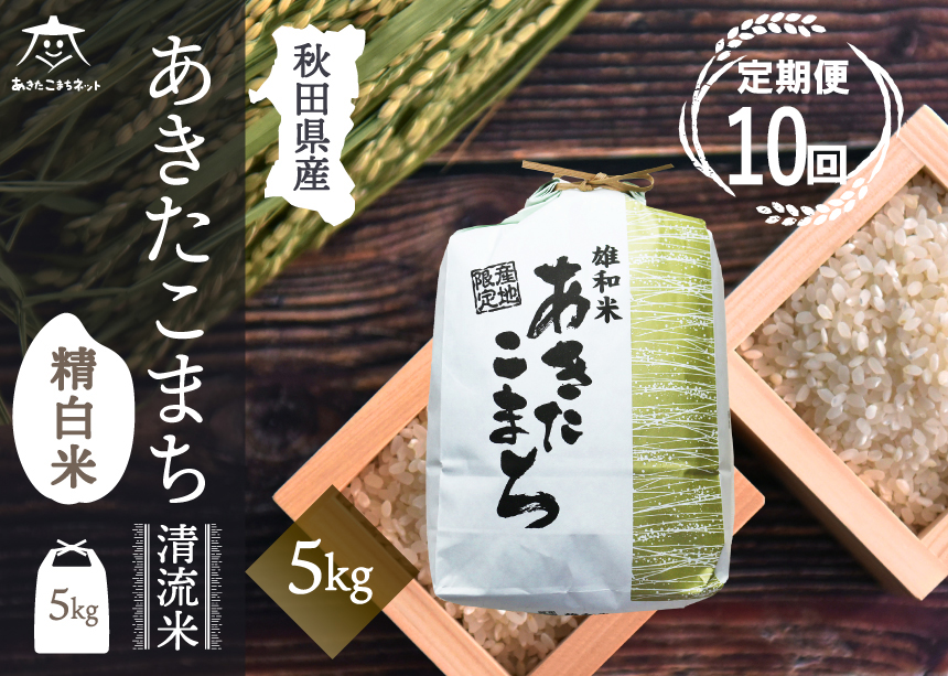 《定期便10ヶ月》あきたこまち 清流米 5kg【白米】 秋田市雄和産 [秋田県産 あきたこまち お米 精米 定期便 5kg 5キロ]