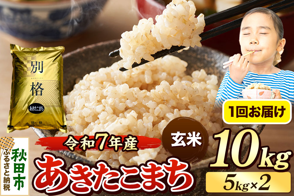《令和7年産》 米 あきたこまち 10kg（5kg×2袋） 【玄米】 秋田県産