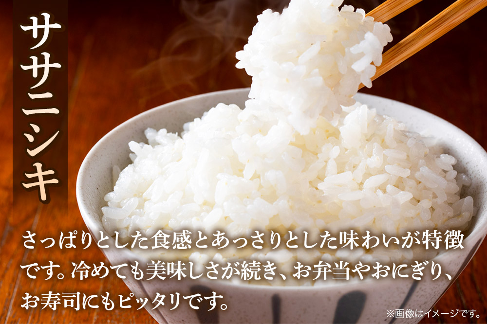 莉、蜥7蟷エ逕」 遘狗伐逵 遘狗伐蟶ら肇 繧オ繧オ繝九す繧ュ 邊セ邀ウ 5kg 逋ス邀ウ 邀ウ