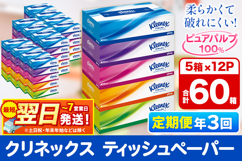 《4ヶ月ごとに3回お届け》定期便 ティッシュ クリネックス ティシュー 5箱×12パック 最短翌日発送【レビューキャンペーン中】