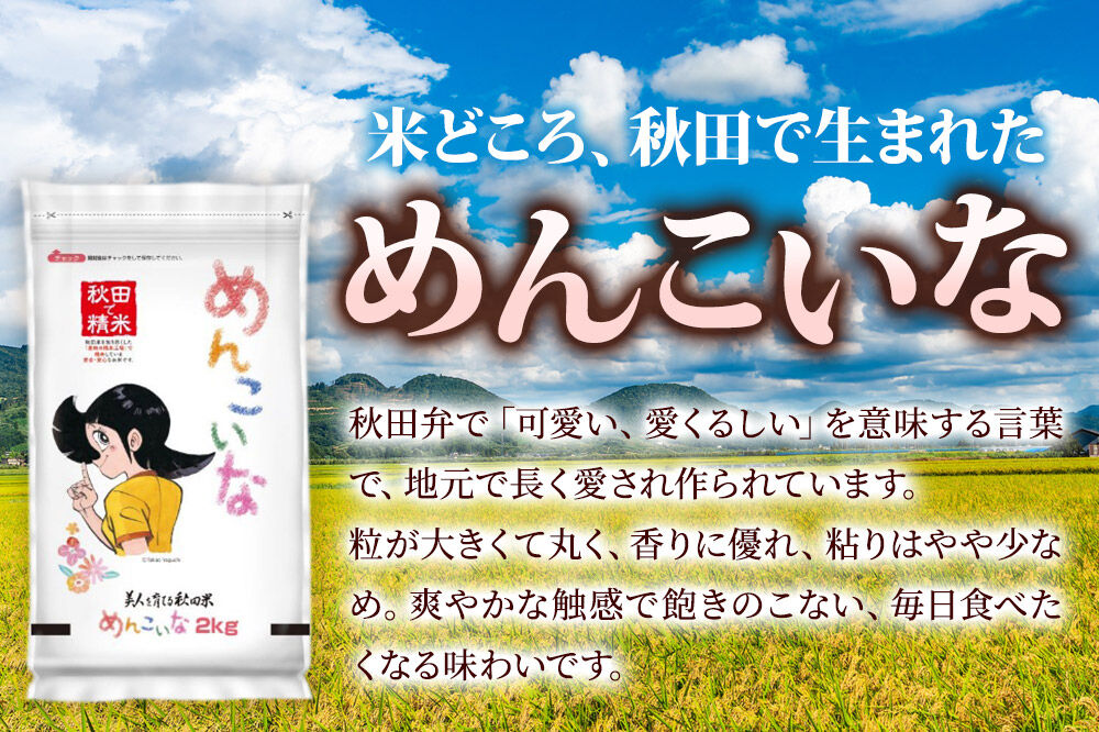 米《定期便3ヶ月》めんこいな【白米】 米どころ秋田県産 令和7年産 精米 2kg（2kg×1袋） [米 お米 こめ 白米 精米 ブランド米 小分け ご飯 ごはん 米どころ 秋田県産 2kg袋]