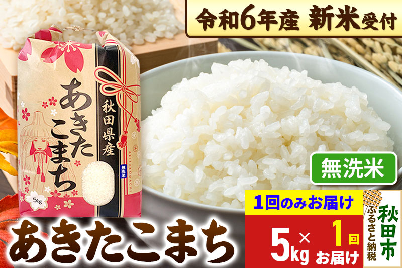 《新米先行受付》あきたこまち 5kg【1回のみお届け】【無洗米】秋田県産 令和6年産 こまちライン