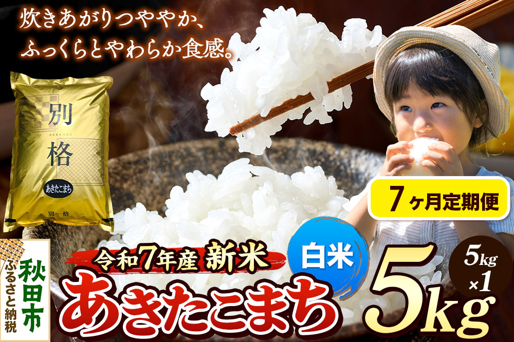 《令和7年産 新米》《定期便7ヶ月》 米 あきたこまち 5kg 【白米】 秋田県産